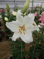 [5628 VH58 No02.JPG]